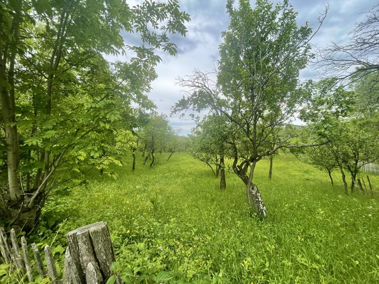 Teren intravilan Sotrile 6762 mp - Investitie, camping, agroturism