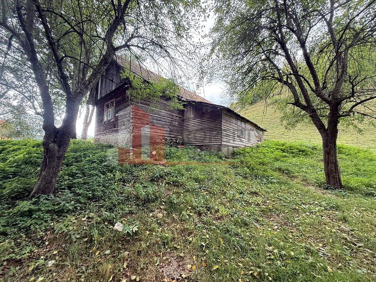 Teren de investiție în Moieciu, lângă Castelul Bran – 11.381 mp, vedere Bucegi