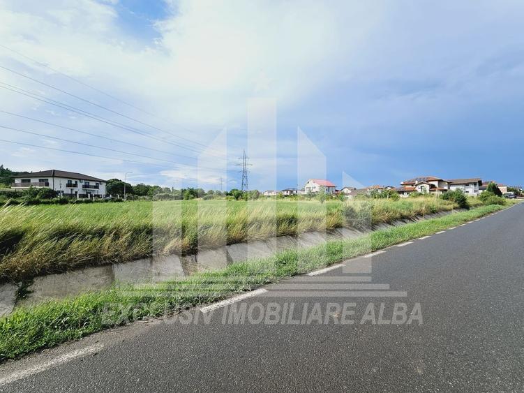 Teren intravilan | De vanzare | 5998 mp | 55 ml deschidere | Cetate