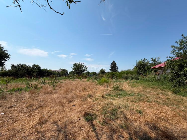 Teren  2200 Mp 18 Km Bucuresti Toate Utilitatile Deschidere 60 - 5