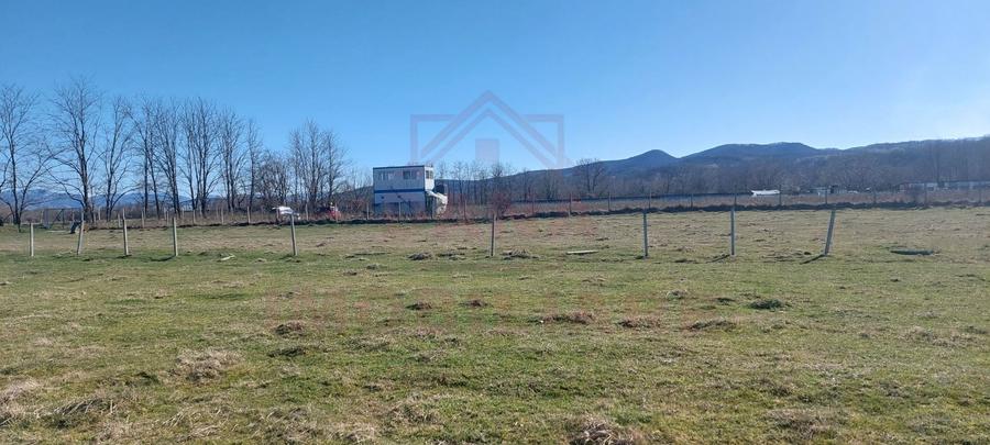 TEREN CU PLANTAȚIE DE TRANDAFIRI ,,ROSA DAMASCENA,\ \CARANSEBEȘ\JUD.CS