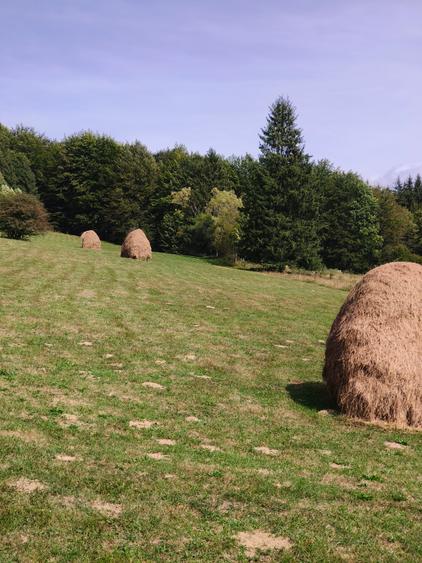 Teren intravilan situat in Traiteni,Valea Doftanei