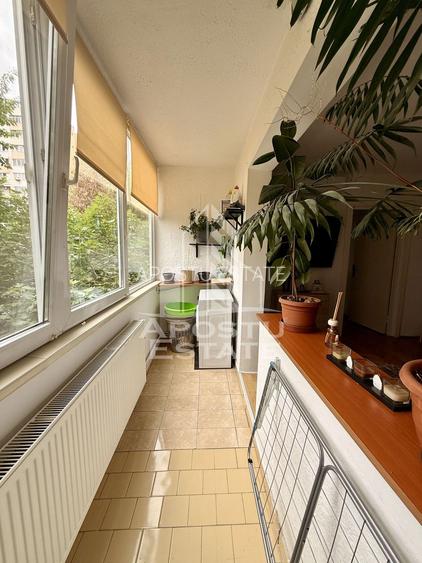 Apartament 3 camere de vanzare, zona Olimpia Stadion, Timisoara - 16