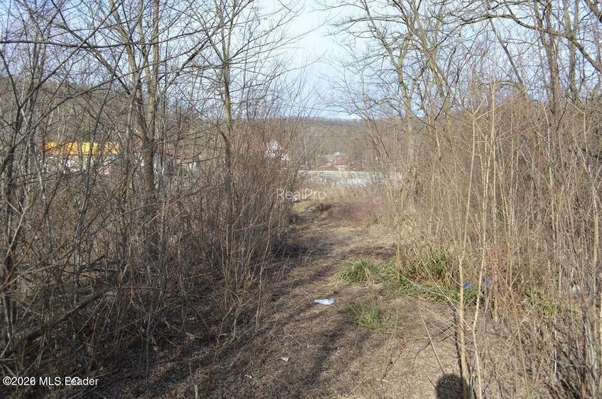 Valea Ursului - DN 7, Teren Stradal 2744 mp - 8