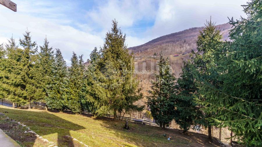 Comision 0% Casa de vacanta in Muntele Rece | Priveliste Panoramica - 19