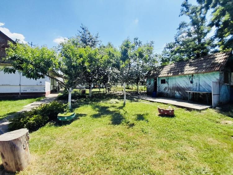 Casă + 2870 mp teren – oportunitate Ciocaia - 6