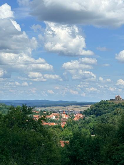 VAND 1648 MP TEREN CU PUZ CISNADIOARA