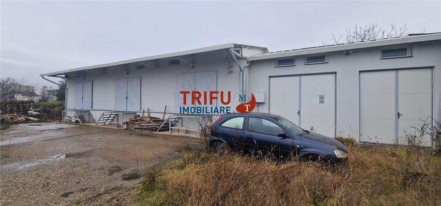 Oportunitate de Achiziție: Spațiu Industrial în Alba Iulia