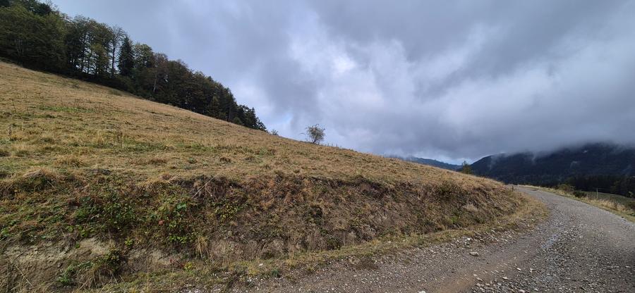 Teren deosebit in cadru de poveste langa cabana Diham, Glajerie