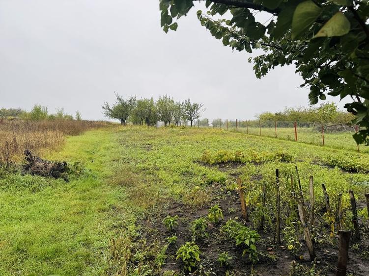 Casa individuală 2 camere in Dezmir