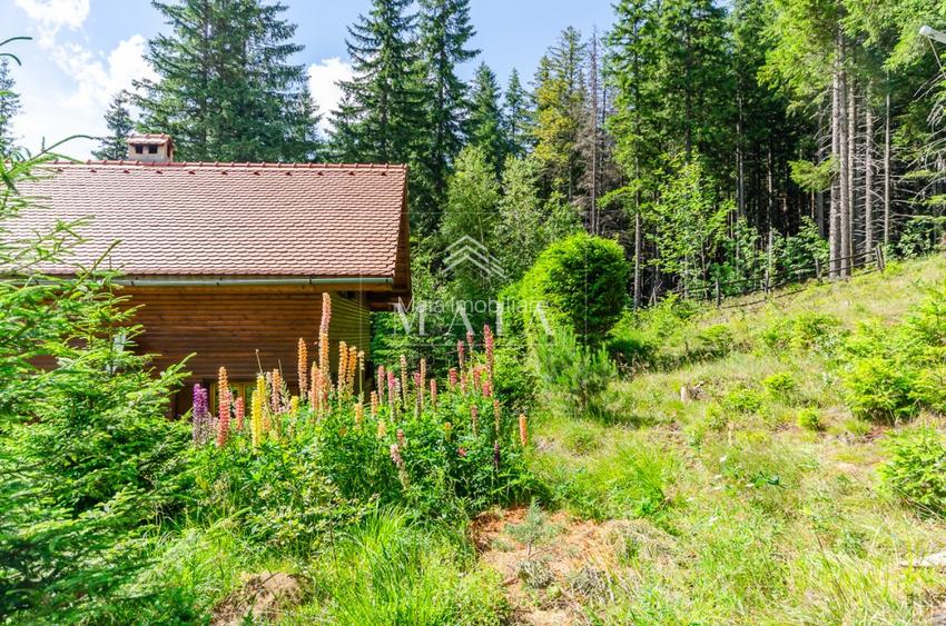 Casa 3 camere, 840 mp teren care include padure, Paltinis - 18