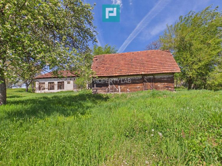 Proprietate rară cu 24.270 mp, în Măgulicea, Arad!