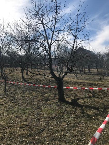 Teren de vanzare Baile Olanesti