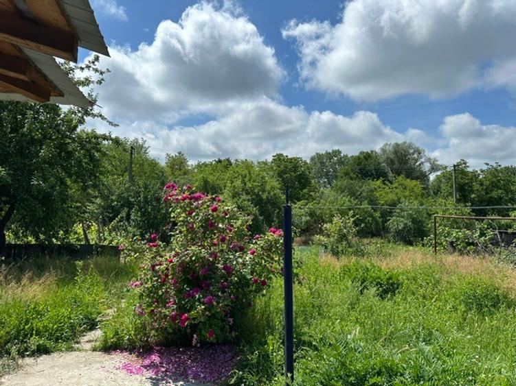 Amarasti Nemoiu in apropiere de Dragasani si Valcea
