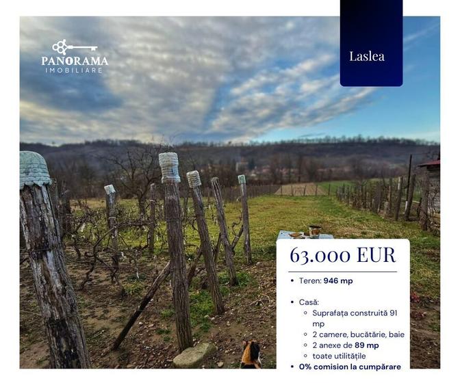 Casă de vânzare în Laslea-gospodărie autentică în inima Transilvaniei