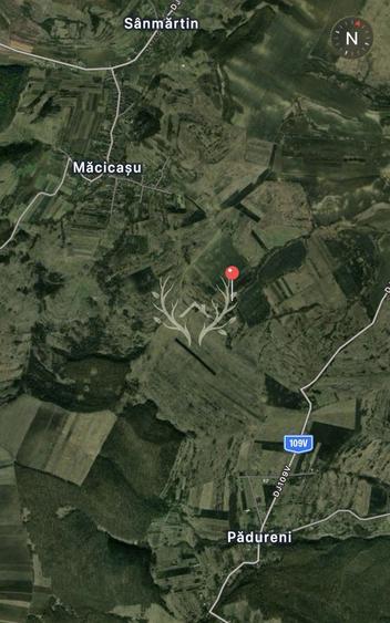 Teren intravilan de vanzare | 2.900 mp | Macicasu, com. Chinteni | La