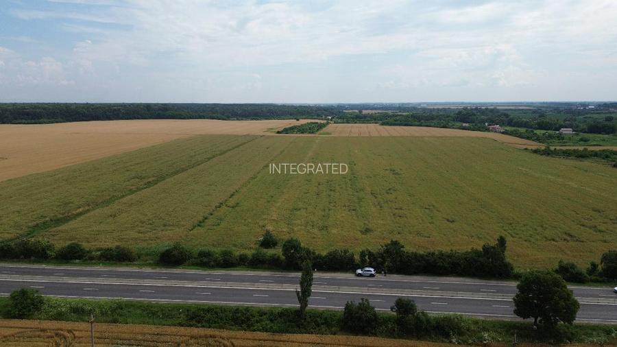 Ciolpani, Teren intravilan 4.5 Hectare - 5