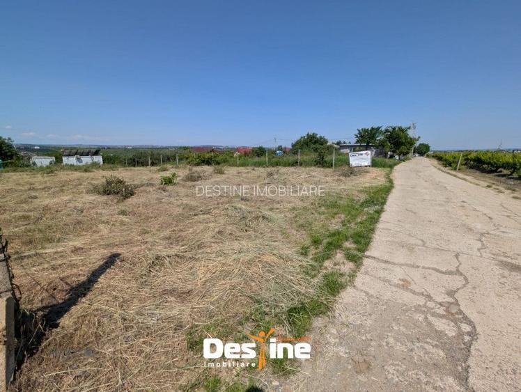 Bârnova - Teren Intravilan 974 Mp, utilitati, drum betonat - 7