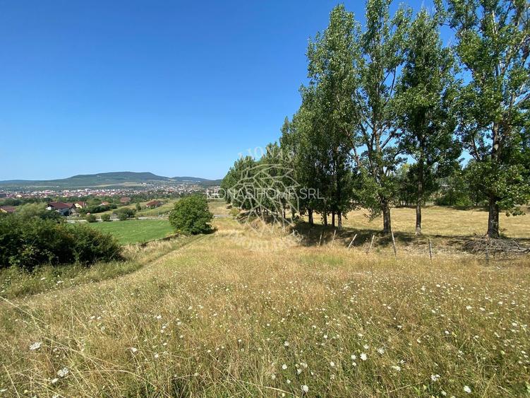 Teren intravilan 2600 mp - pretabil casa/investitie-Zona Aerodrom - 2