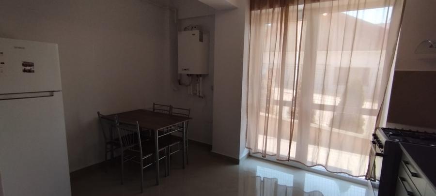APARTAMENT 2 CAMERE, PARTER, PET FRIENDLY, PARCARE, POPAS PACURARI