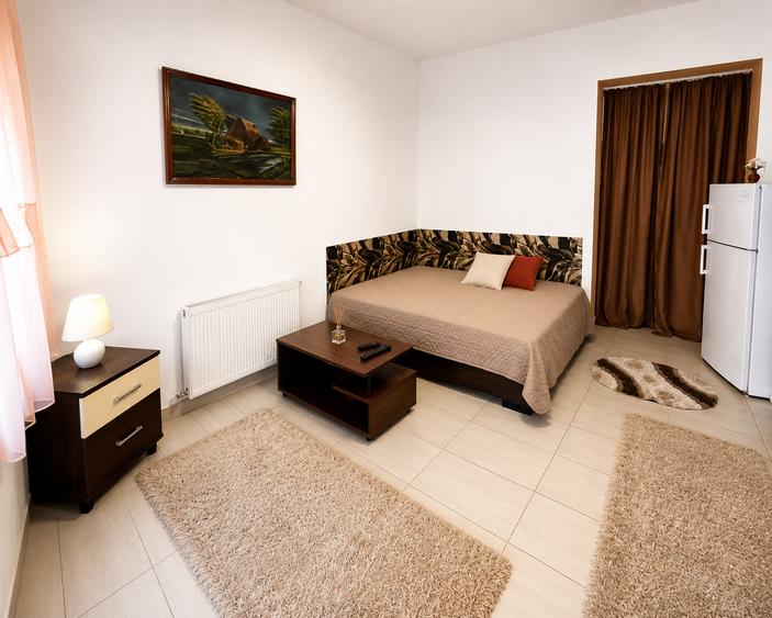 Apartament cu o cameră Traian