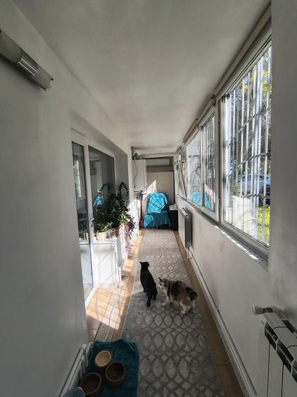 CENTRAL 2 CAMERE SEMI, MOBILAT SI UTILAT, 60 MP PRET 110000 EURO