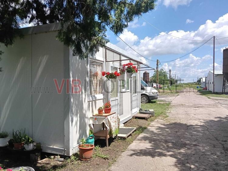 Afacere de vânzare: Fermă Creștere Pui – Ialomița la 60 km de București