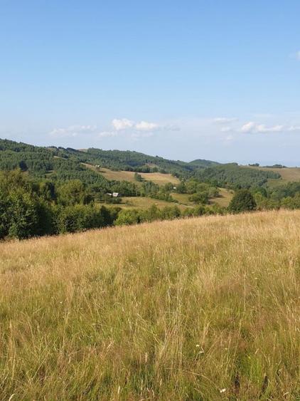 De vanzare teren in zona Crint -Tilisca in golul alpin, direct de la proprietar!