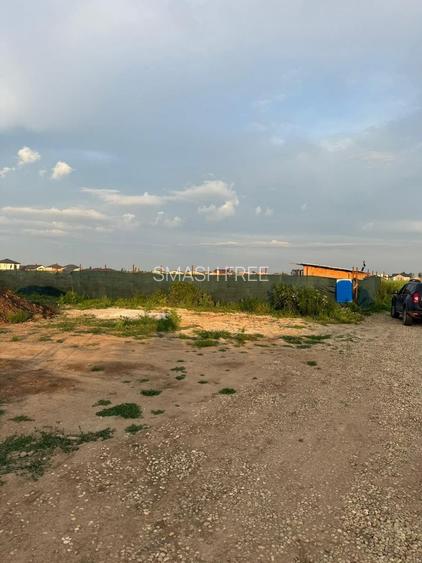 Teren 533 mp - Buftea - 19