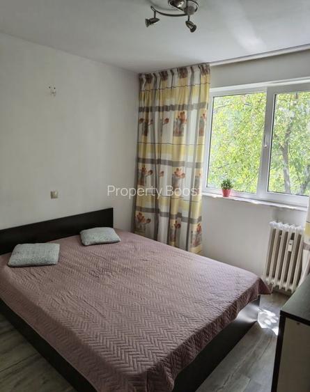 Apartament 2 camere decomandat Raul Doamnei, Drumul Taberei - 4