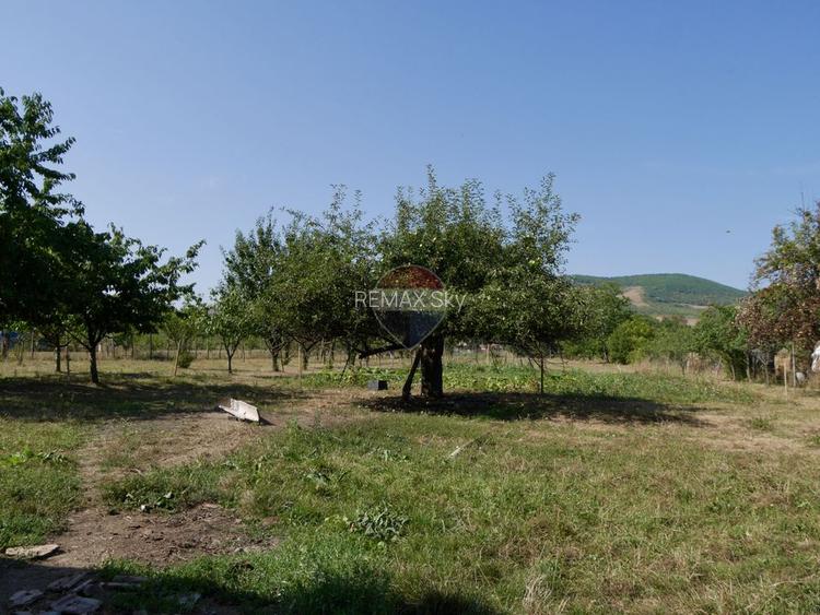 Mai mult decât o casă: 2.481 mp de liniște și libertate în Benic - 15