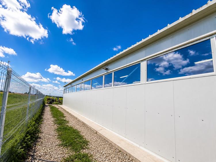 Oportunitate de Investitie|Hala 240mp+teren4000mp|Crevedia Buftea|