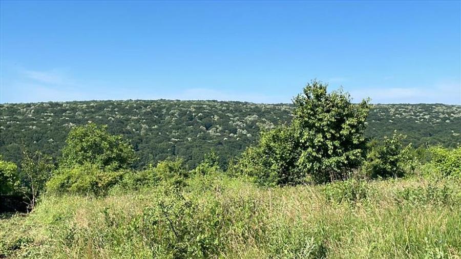 Teren de vanzare 7400mp, Slobozia - Ciurea