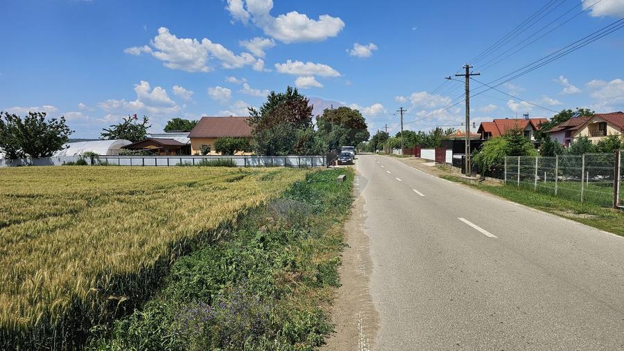 Teren 15,000mp Salcea-Prelipca, Suceava