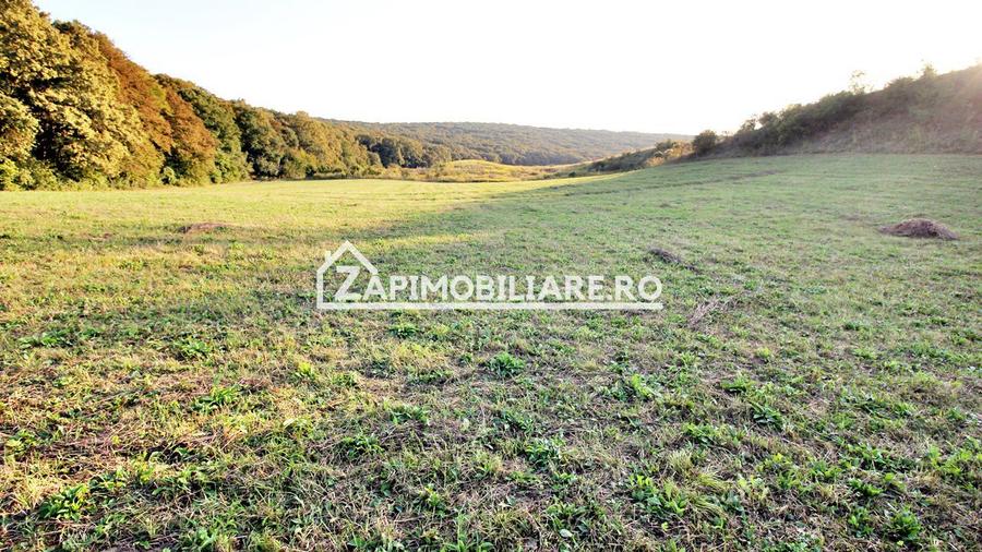 De vanzare 2 terenuri de 29.500 mp si 1.400 mp.29 euro mp