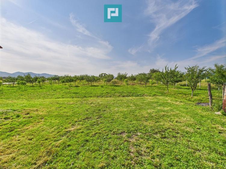 Casă cu teren de 4707 mp în Hălmăgel, județul Arad