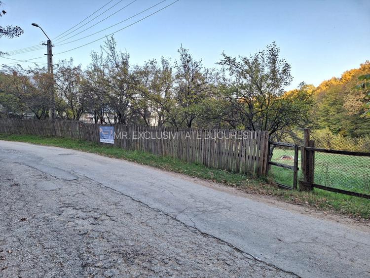 Teren intravilan 600 mp, liziera pădurii, Balotești, Posibilitate casa Parter - 3