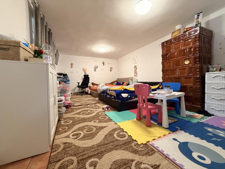 Casa individuala, 300 mp, utili, 1100 mp gradina - Sag