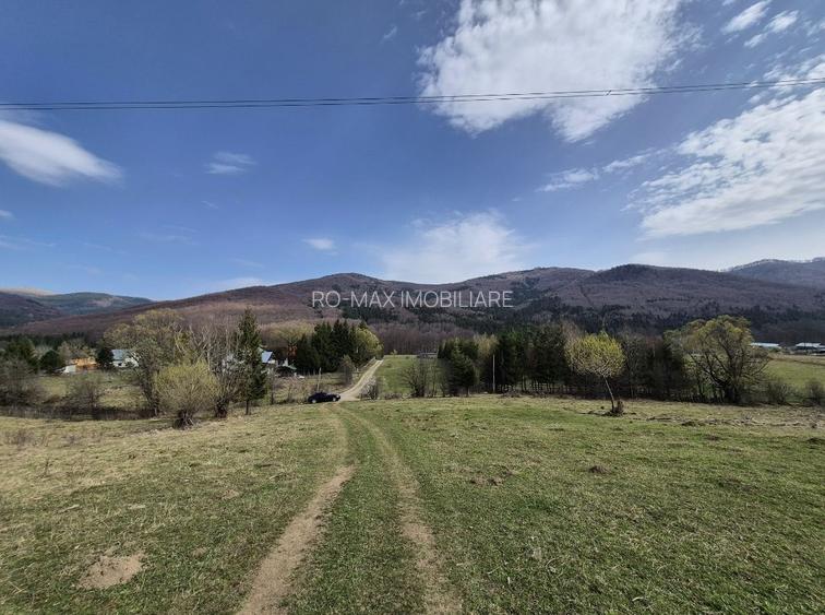 Teren intravilan la baza pădurii Valea Doftanei sat Traisteni (poduri) - 3