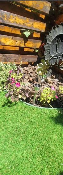 AP. 2 CAMERE- OZANA, PET-FRIENDLY, CURTE PROPRIE, CENTRALA, PARCARE - 6