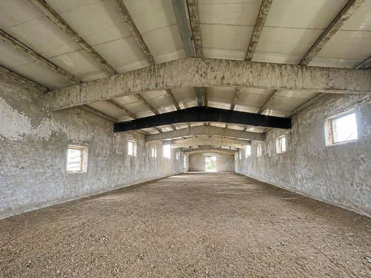 Hala Industrială / Agricolă | 800 MP Construcție + 800 MP Teren |