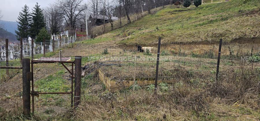 Teren construibil (intravilan) de vanzare, strada Viei nr. 30 - 2