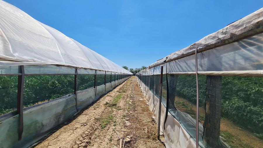 Afacere la cheie! Incasari din prima zi!!! - 6