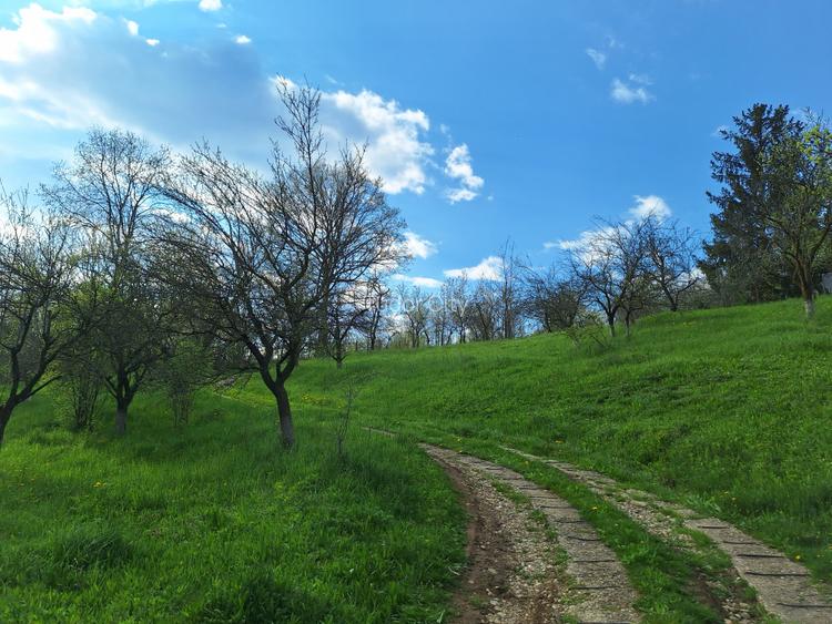 Moșia cu casa în vârf de deal, Scorțeni - Prahova, comision 0% - 16