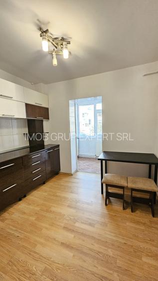 3 CAMERE, ZONA IREG, PARTER,  MOBILATE, CENTRALA TERMICA 90.000 EURO - 13