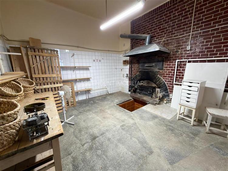 3D!Ansamblu casa+productie+comercial, 3 corpuri,acces stradal,Tudor,Targu Mures, - 19