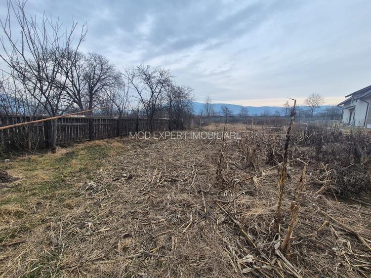 Casă de vânzare – Zona Agarcia, județul Neamț - 7