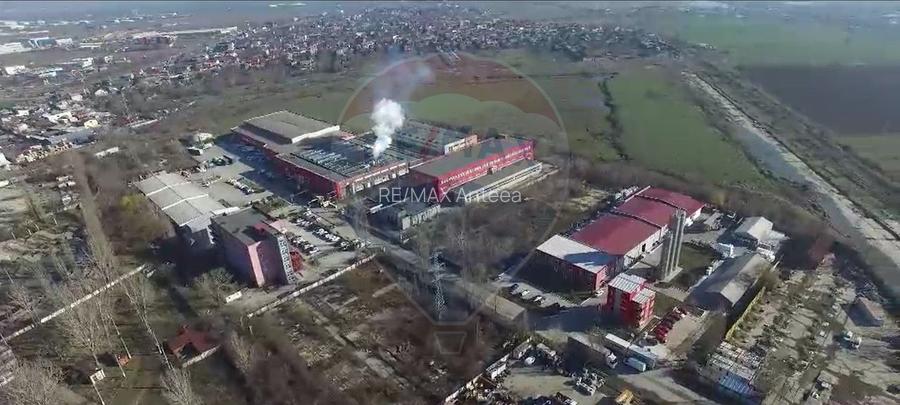 Hala productie & depozitare 9317mp / 1500mp / 3000mp | Pallady – Teclu - 5