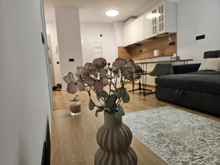 Proprietar inchiriez ap 2 camere cu garaj subteran - 14