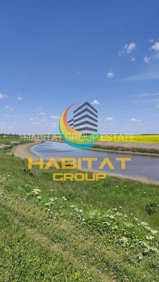 Teren 495 mp | Malul lacului | Rate 24 luni | Frumusani - 6